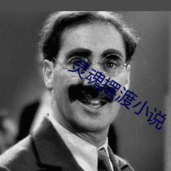 灵魂摆渡小说 （三言两句）