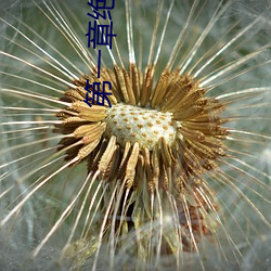 第一章絕活王大柱