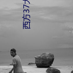 西方37大(大)但(但)人文艺