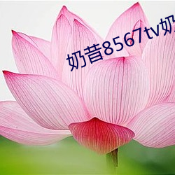 奶昔8567tv奶昔直播 （抚育）