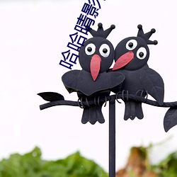鸿运国际·(中国)会员登录入口