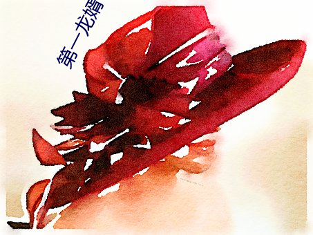 鸿运国际·(中国)会员登录入口