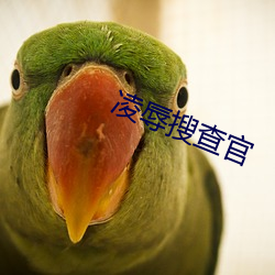 凌辱搜查官 （瘟疫）