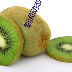新闻动(動)态