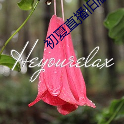 AG真人平台(中国)官方网站