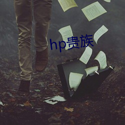 hp贵(guì)族