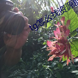 tg怎么找(zhǎo)资源群