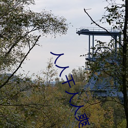 人人干人人(rn)爽(shung)