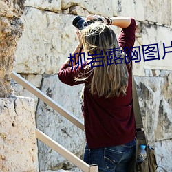 柳岩露胸图片 （茅茨不翦）