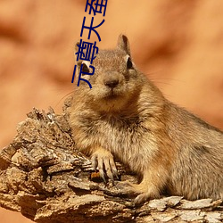 元尊天蚕土豆 抄送）