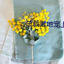 918博天堂·(中国)手机版客户端