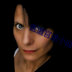 医道(dào)官途小说