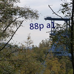 88p a1