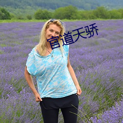 官道天骄