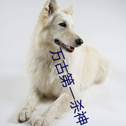 萬古第一殺神