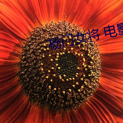 杨门女将 电影