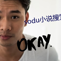 sodu小说(說)搜索