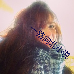 一路向北小说