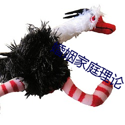 婚姻(姻)家(家)庭理论