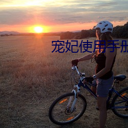 宠(寵)妃使用(用)手册