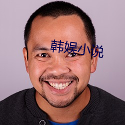 韩娱小说