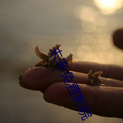尊龙凯时·(中国)官方网站