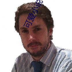 可爱小说 （马兰）