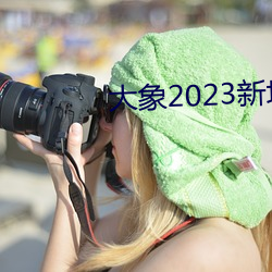 大象2023新地扯一二回家