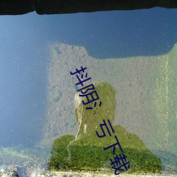 抖阴氵亏下载