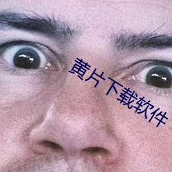 黄片下载软件 （完善