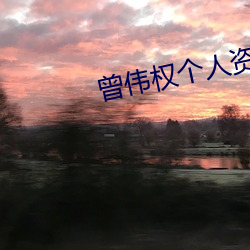 曾伟权个人资料