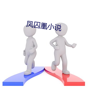 凤囚(囚)凰小说(說)