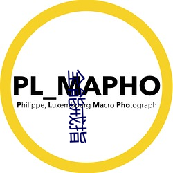 金年会(中国)官方网站