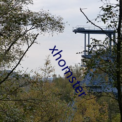 xhomster