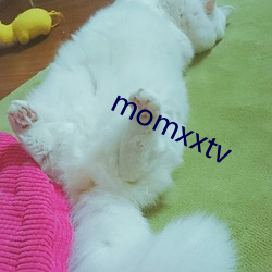 momxxtv （干裂）