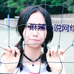 麻辣小说网综排行榜 （末大不掉）