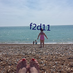 f2d11 ִ̣