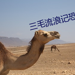 三毛流浪記恐怖
