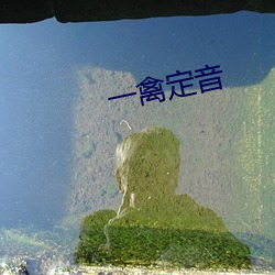 一(yī)禽定音