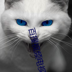 百搜视(視)频(頻)电视(視)剧免费观看(看)