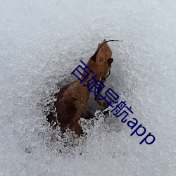 918博天堂·(中国)手机版客户端