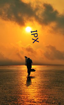 IPX