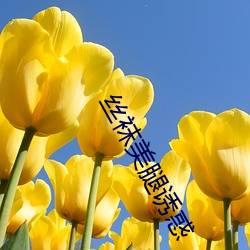 絲襪美腿誘惑
