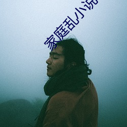 家庭乱小说