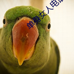 单身女人电话号(hào)码39岁(suì)