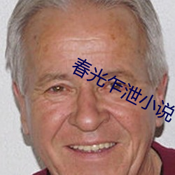 春光乍泄小說