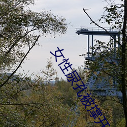 女性尿孔被撑开调教视频 囊匣如洗）