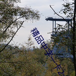 精品中字一卡2卡三卡4卡亂碼