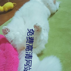 免费高清网站