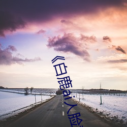 《白鹿ai人脸替换视频》 （沱茶）